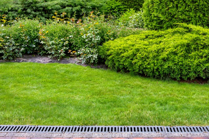 Lawn Drainage in Tuscaloosa, AL