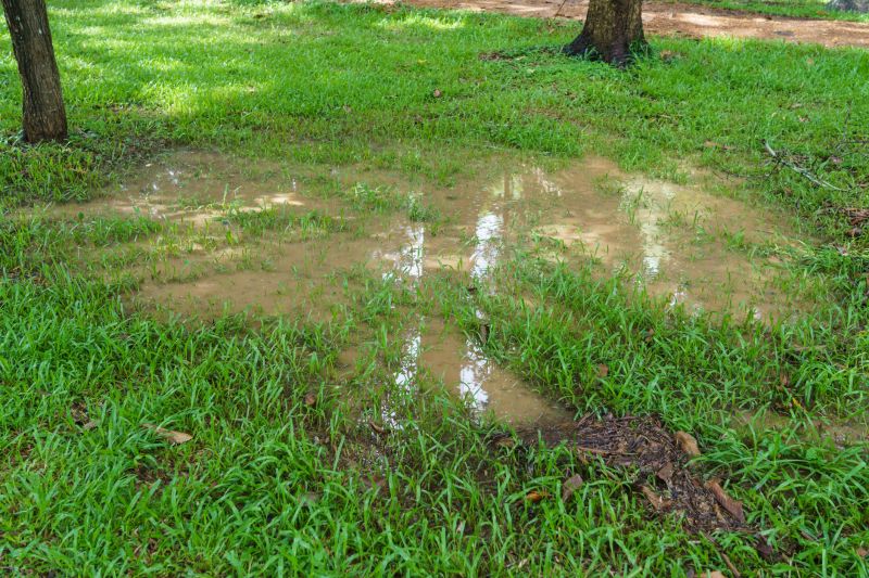 Water Pooling Prevention in Birmingham, AL
