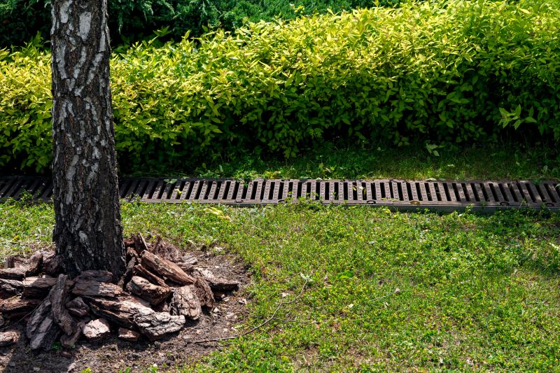 Yard Drainage Improvement in Tuscaloosa, AL